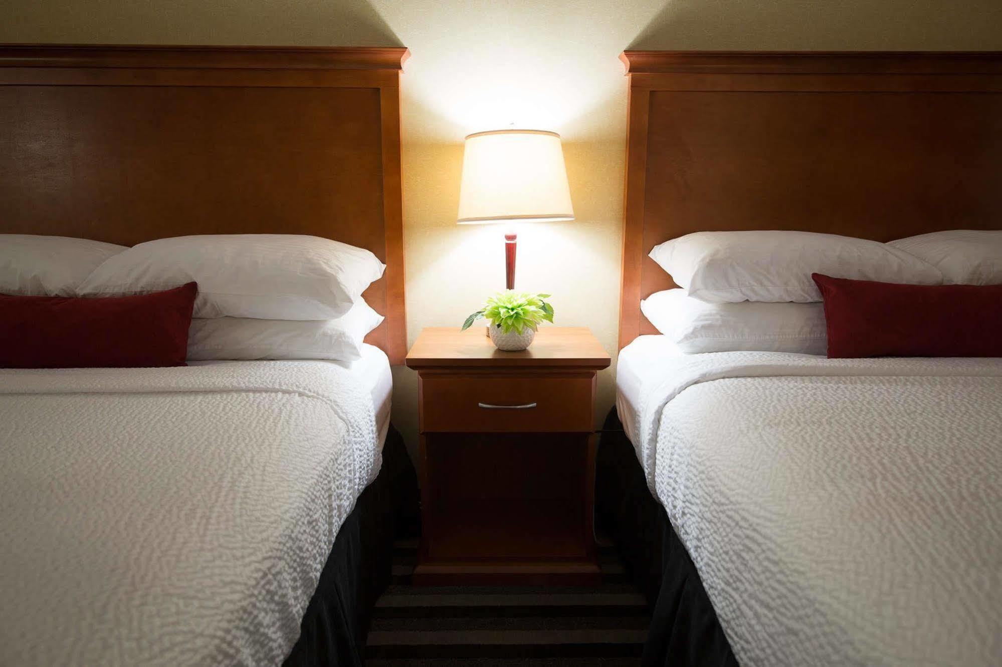 Days Inn & Suites By Wyndham Edmonton Airport Leduc Eksteriør bilde